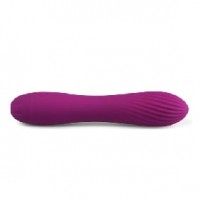 10 Speeds Rechargeable Silicone Purple Vibrator